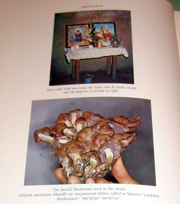 Maria Sabina and her Mazatec Mushroom Velada